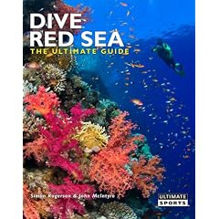 Dive Red Sea: The Ultimate Guide