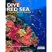 Dive Red Sea: The Ultimate Guide