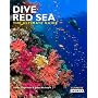 Dive Red Sea: The Ultimate Guide