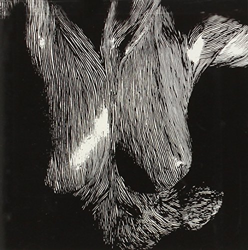 Oceansize - Self Preserved While the Bodies Float Up - Zortam Music