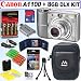 Canon PowerShot A1100IS 12.1 MP Digital Camera (Silver) + 8GB Deluxe Accessory Kit