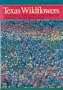 Texas Wildflowers: A Field Guide