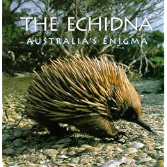 Echidna: Australia's Enigma