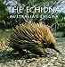 The Echidna: Australia's Enigma