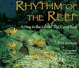Rhythm of the Reef: A Day in the Life of the Coral Reef