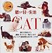 猫との甘い生活