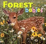 ISBN 9781559718745 product image for Forest Babies (Animal Babies) | upcitemdb.com