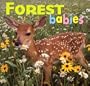 Forest Babies