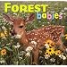 Forest Babies