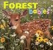 Book Forest Babies