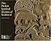 The Pictish Symbol Stones of Scotland (Rcahms)