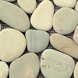 Solistone River Rock Turquoise 12 x 12 Inch Natural Stone Pebble Mosaic Floor Tile (One Sheet Only)