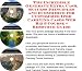 Book The Incredible Generate Extra Cash, Success Principles and eCommerce for Customized Ipod Carrying Cases Web Biz 3 Course + Resource Guide