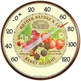 Chaney Instrument 12-1/2-Inch Berries Thermometer