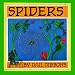 Spiders