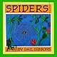Spiders