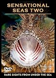 Sensational Seas Two