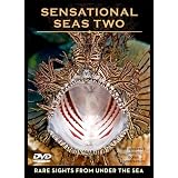 Sensational Seas Two