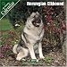 Norwegian Elkhound 2007 Wall Calendar
