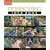 Stonescaping Idea Book (Taunton's Idea Book Series)