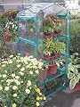 4- Tier Mini Greenhouse