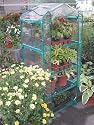 4- Tier Mini Greenhouse