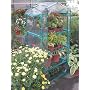 4- Tier Mini Greenhouse