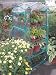 4- Tier Mini Greenhouse