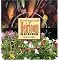Start Vegetable Gardening