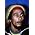 Miniaturansicht von Bob Marley