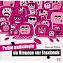 Petite anthologie du flingage sur Facebook