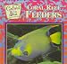 Coral Reef Feeders (Color of the Sea) by Eric Ethan ISBN 0836817389
