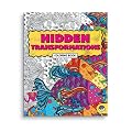 Hidden Transformations