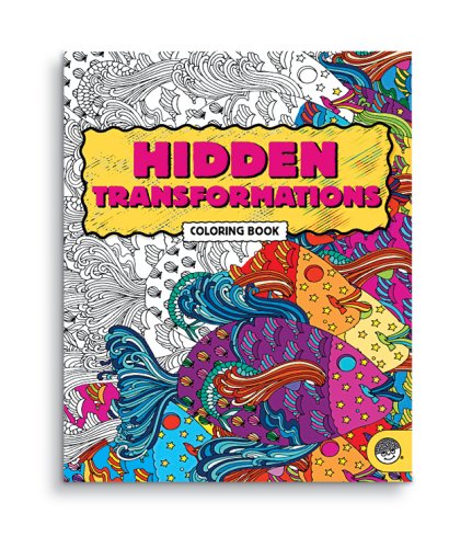 Hidden Transformations