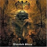 Wounded Skies