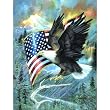 American Eagle 500pc Jigsaw Puzzle by Ruane Manning