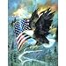American Eagle 500pc Jigsaw Puzzle by Ruane Manning