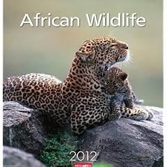 African Wildlife 2012