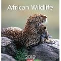 African Wildlife 2012