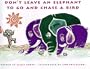 Don't Leave an Elephant to Go and Chase a Bird