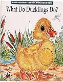 What Do Ducklings Do? (First Blessings Touch and Look Book)