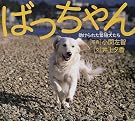 ばっちゃん―助けられた繁殖犬たち