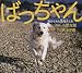 ばっちゃん―助けられた繁殖犬たち