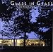 Glass in Glass: Toledo Museum of Art