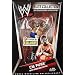 WWE Internet Exclusive CM Punk Wrestling Action Figure