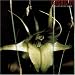 Dreams Less Sweet