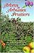 Search : Arbres et arbustes fruitiers