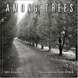 Among Trees by Sean Kernan 2009 Wall Calendar