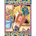 Blue Ribbon Pony Color-By-Number