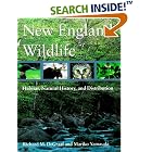 Click here to buy New England Wildlife: Habitat, Natural History, and Distribution by Richard M. DeGraaf and Mariko Yamasaki.